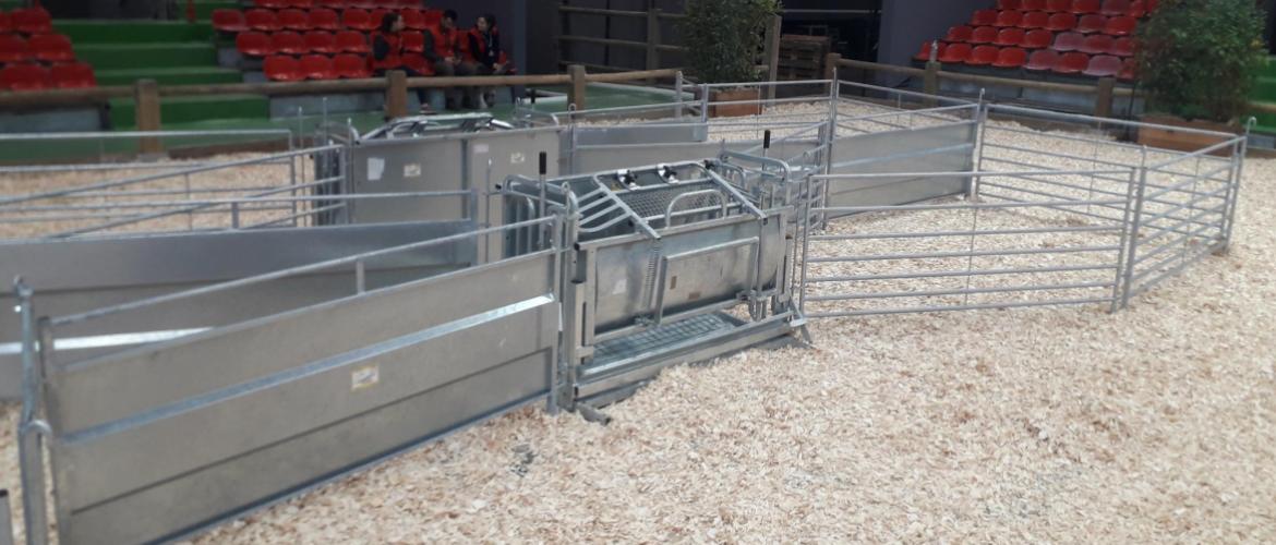 La cage de retournement est intégrée dans un parc de contention CP : CIIRPO