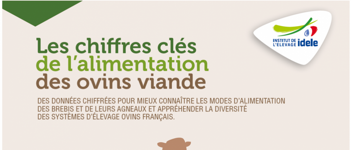 30 pages pour en savoir plus sur l’alimentation des ovins viande. CP : CIIRPO