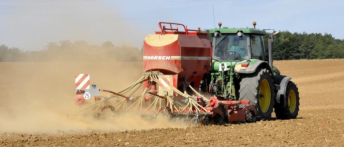 Les conditions sèches qui prévalent actuellement ne sont pas propices aux semis de colza. Crédit photo : Laurent Jung - Terres inovia