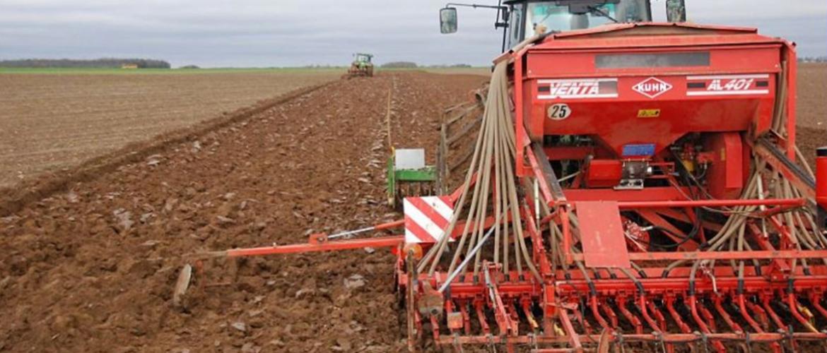 Le décalage de la date de semis est un levier pertinent dans une optique de maîtrise des adventices. Crédit photo : Arvalis-Institut du végétal