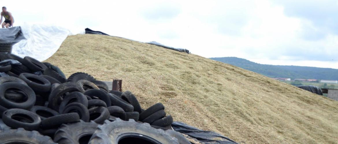 La période des ensilages de maïs bat son plein. La sécurité routière ne doit pas être négligée. Crédit photo : AC