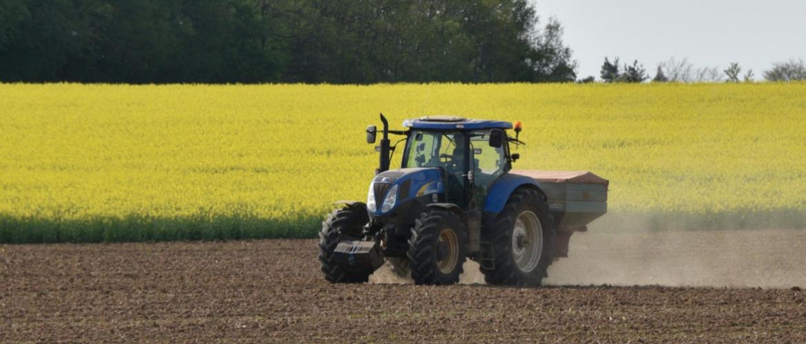 Les besoins en azote augmentent fortement un mois après la levée : des apports en végétation, mieux synchronisés avec la plante, permettent d’optimiser la fertilisation et d’ajuster les doses selon l’état de la culture. Crédit photo : L.Jung/Terres inovia