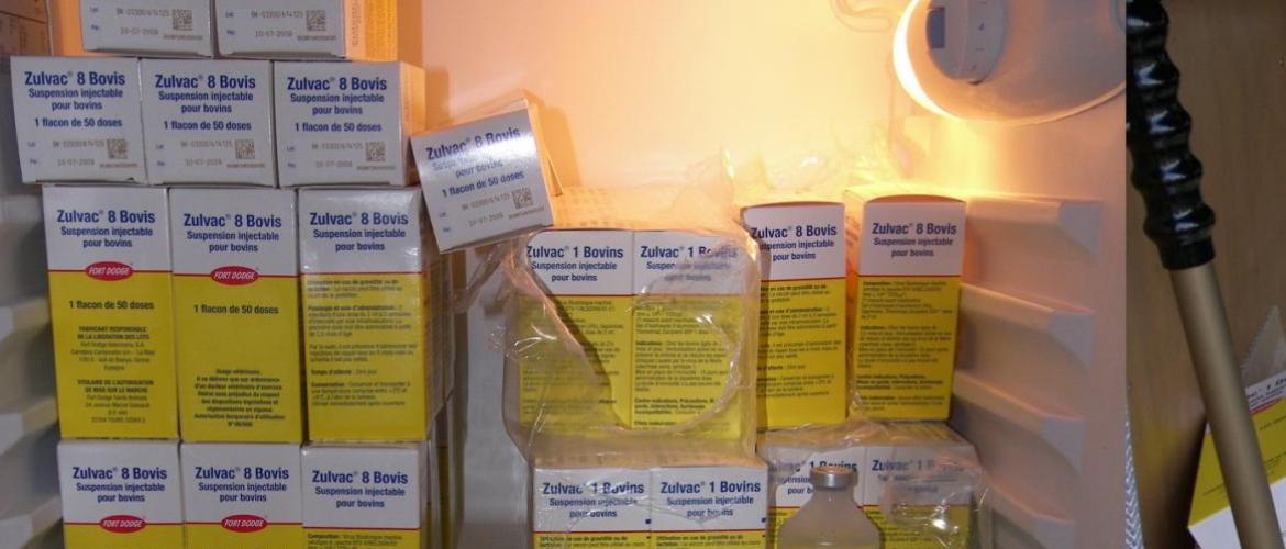 L'approvisionnement en doses vaccinales peut être problématique à cause de ruptures de stocks... Crédit photo : Fourrure