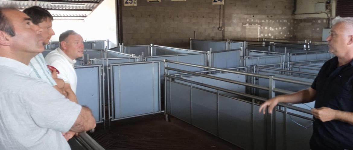 Visite du centre de tri des veaux récemment aménagé. Crédit photo : Isabelle Renaut