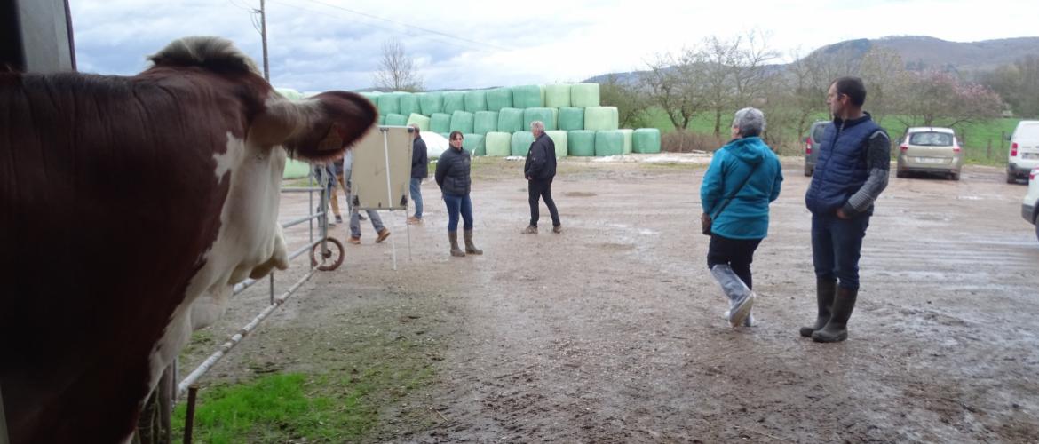Il est important de prendre en compte les zoonoses, maladies du bétail transmissibles à l'homme, quand on accueille du public sur son exploitation. Crédit photo : GAB70.
