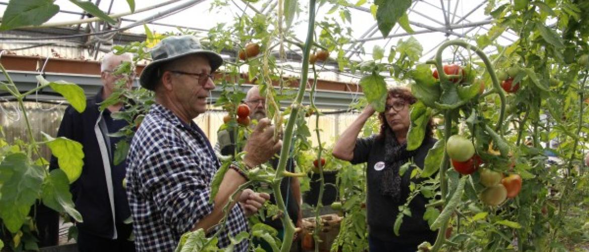Patrick Gigon a ouvert les portes de son exploitation maraîchère pour faire découvrir ses productions aux bénéficiaires de l’aide alimentaire et aux bénévoles des Restaurants du Cœur. Crédit photos : Bernard Perrot